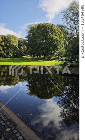 Sunny park landscape with large trees and their reflection in a still pond under a blue sky. Sunny park landscape with large trees and their reflection in a still pond under a blue sky. 131464999