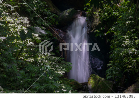 Beautiful waterfall hidden in the forest 131465093