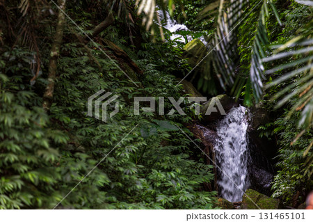 Beautiful waterfall hidden in the forest 131465101