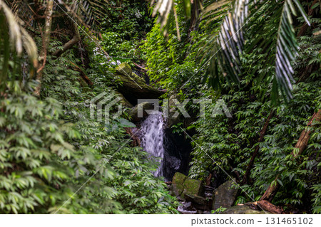 Beautiful waterfall hidden in the forest 131465102