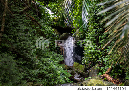 Beautiful waterfall hidden in the forest 131465104