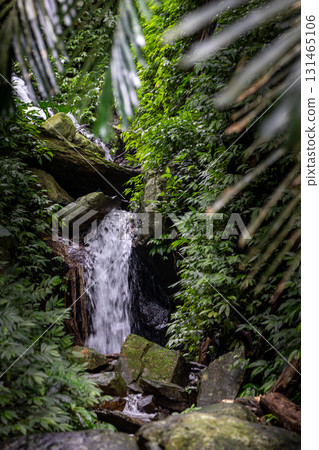 隱藏在森林中美麗瀑布 131465106