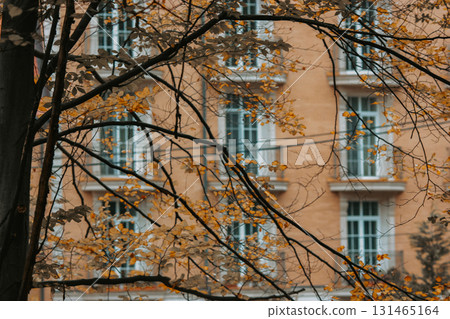 Building Facade is viewed behind autumnal trees with golden foliage Autumn leaves tree branches create a natural frame for a residential house in fall 131465164