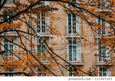 Building Facade is viewed behind autumnal trees with golden foliage Autumn leaves tree branches create a natural frame for a residential house in fall Building Facade is viewed behind autumnal trees with golden foliage Autumn leaves tree branches create a natural frame for a residential house in fall 131465165