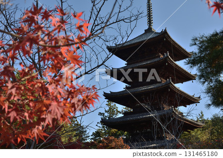 World Heritage Site Ninna-ji Temple Five-Story Pagoda in Autumn (Ukyo Ward, Kyoto City) World Heritage Site Ninna-ji Temple Five-Story Pagoda in Autumn (Ukyo Ward, Kyoto City) 131465180