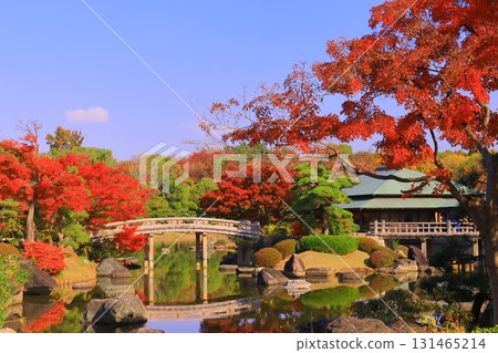 大山日本庭園的紅葉（大阪府堺市）<影月橋與永和橋> 131465214