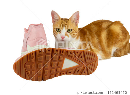 A pair of fashionable pink leather sneakers, isolated on a white background with one sneaker showing its sole with a lovely tabby orange-white cat with a pink nose posing. A pair of fashionable pink leather sneakers, isolated on a white background with one sneaker showing its sole with a lovely tabby orange-white cat with a pink nose posing. 131465450