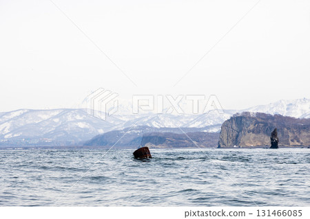 rusty buoy in water of Avacha bay in Pacific ocean 131466085