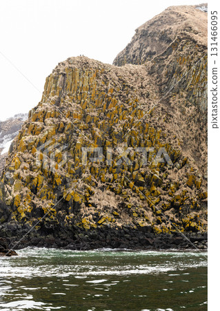 cape of Starichkov island in Avacha bay cape of Starichkov island in Avacha bay 131466095