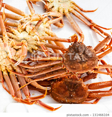 freshly caught live Kamchatka crabs on boat 131466104