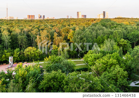 above view of green city park lit by setting sun above view of green city park lit by setting sun 131466438