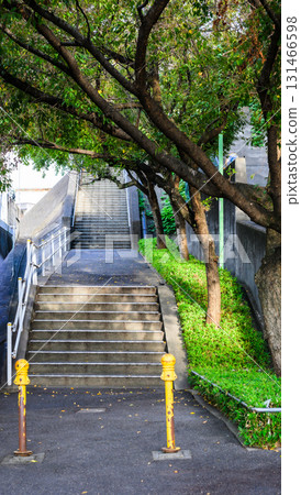 被樹蔭環繞的樓梯和人行道的景色（城市生活與綠色的和諧） 131466598
