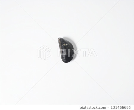 Image of mussels 131466695
