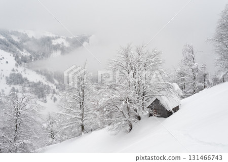 Snowy Winter Landscape With Old Wooden Cabin In Foggy Mountain Village Snowy Winter Landscape With Old Wooden Cabin In Foggy Mountain Village 131466743