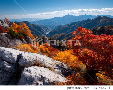 A spectacular autumn mountain landscape with red leaves and blue skies. A beautiful contrast between the magnificent Japanese nature and the rocky surface. 131466791