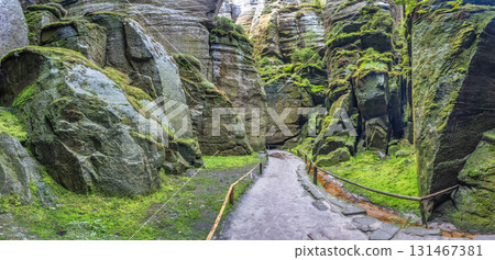 Adrspach-Teplice Rocks, sandstone formations in Hradec Kralove Region in the Czech Republic, Europe. Pathway winding through tall mossy rock formations, inviting exploration of nature's wonders. 131467381