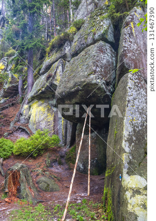 Adrspach-Teplice Rocks, sandstone formations in Hradec Kralove Region in the Czech Republic, Europe. A large boulder hangs precariously, supported by thin wooden poles in a mossy forest setting. Adrspach-Teplice Rocks, sandstone formations in Hradec Kralove Region in the Czech Republic, Europe. A large boulder hangs precariously, supported by thin wooden poles in a mossy forest setting. 131467390