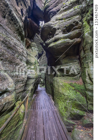 Adrspach-Teplice Rocks, sandstone formations in Hradec Kralove Region in the Czech Republic, Europe. Wooden walkway winds through a narrow canyon of sandstone cliffs covered with moss and vegetation. 131467409