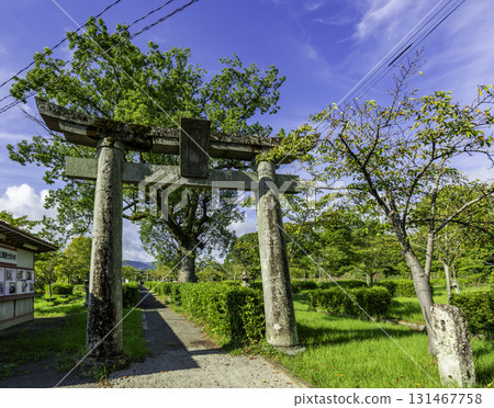 Saga Kashima, Kashima Castle Ruins, Shoin Shrine, Torii Gate, Kashima City, Saga Prefecture Saga Kashima, Kashima Castle Ruins, Shoin Shrine, Torii Gate, Kashima City, Saga Prefecture 131467758