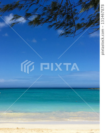 夏威夷的白沙灘與藍海 夏威夷的白沙灘與藍海 131467878
