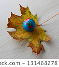 Square stock photo of World Continents is visible on a small globe lying on a fallen maple leaf  131468278