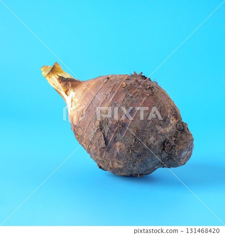 Taro root isolated on blue background. Top view, 131468420