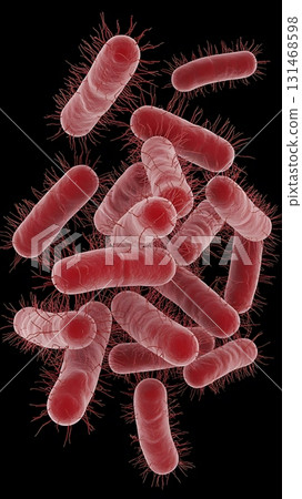 cluster of rod shaped bacteria with flagella on a solid black background 131468598