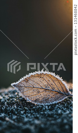 A single delicate leaf, its intricate veins visible through a translucent surface, is heavily frosted and illuminated by a warm golden backlight on a cold winter day. 131468842