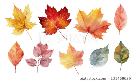 Watercolor illustration set of vibrant autumn leaves showcasing rich colors and intricate details with copy space. Isolated on transparent background. PNG, cutout 131469629