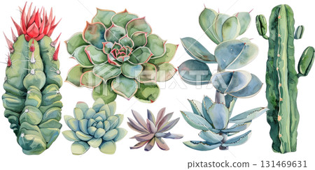 Cactus and succulent clipart set featuring vibrant watercolor illustrations with copy space for design projects. Isolated on transparent background. PNG, cutout 131469631