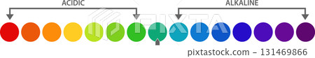 Illustration showing a colorful spectrum of values ranging from acidic to alkaline substances. 131469866
