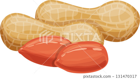 Illustration showcasing two peanuts, one shelled exposing two peanuts. Healthy snack depiction. 131470317