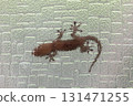 A gecko stuck to the glass A gecko stuck to the glass 131471255