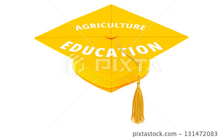 Agriculture Education concept. Maize color academic mortarboard, graduation cap. 3D rendering Agriculture Education concept. Maize color academic mortarboard, graduation cap. 3D rendering 131472083