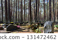Tranquil forest cemetery in Tallinn, Estonia, showcasing numerous graves adorned with flowers and lanterns, nestled among tall pine trees during the autumn season 131472462