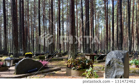 Tranquil forest cemetery in Tallinn, Estonia, showcasing numerous graves adorned with flowers and lanterns, nestled among tall pine trees during the autumn season Tranquil forest cemetery in Tallinn, Estonia, showcasing numerous graves adorned with flowers and lanterns, nestled among tall pine trees during the autumn season 131472462