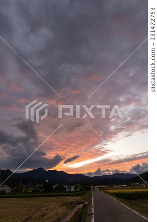 美麗的夕陽天空和農場道路 美麗的夕陽天空和農場道路 131472753
