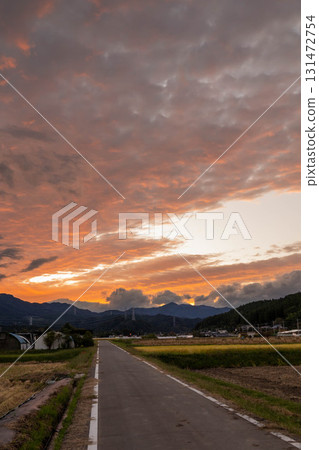 美麗的夕陽天空和農場道路 美麗的夕陽天空和農場道路 131472754