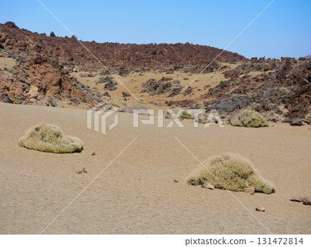 Desert landscape with rocky formations and sparse vegetation, covered with pumice in Minas de San Jose, volcano Teide National Park, Tenerife Desert landscape with rocky formations and sparse vegetation, covered with pumice in Minas de San Jose, volcano Teide National Park, Tenerife 131472814