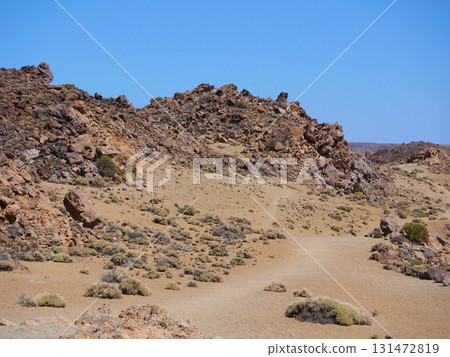 Desert landscape with rocky formations and sparse vegetation, covered with pumice in Minas de San Jose, volcano Teide National Park, Tenerife 131472819
