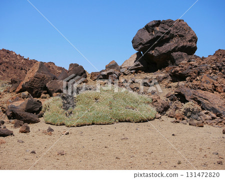 Desert landscape with rocky formations and sparse vegetation, covered with pumice in Minas de San Jose, volcano Teide National Park, Tenerife 131472820