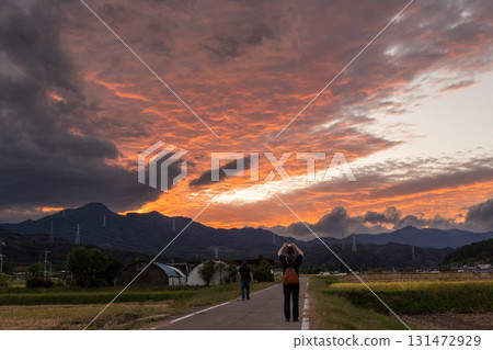 Beautiful sunset sky and farm road 131472929