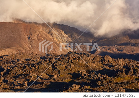 Volcanic Landscape, Tongariro National Park 131473553