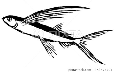 Brush painting illustration _ flying fish _ monochrome Brush painting illustration _ flying fish _ monochrome 131474795