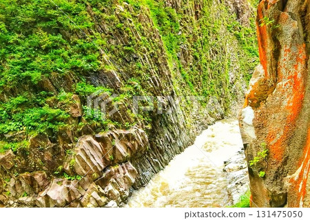 閃耀在新綠中的溪谷 131475050