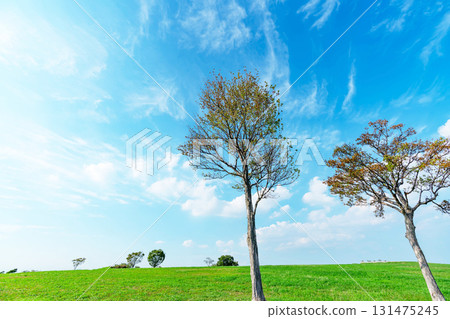 Blue sky and clouds and prairie Blue sky and clouds and prairie 131475245