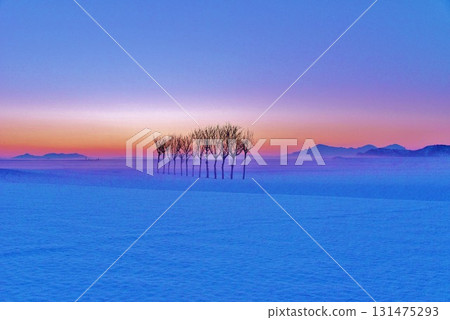 黎明時分的雪原香芹,越後三山的冬日風景 黎明時分的雪原香芹,越後三山的冬日風景 131475293