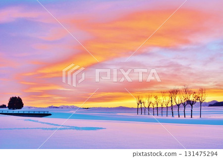 Snowy field of parsley at dawn, Echigo Sanzan winter scenery 131475294