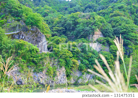 秋季：棚下不動附近的利根川階地景觀 131475351