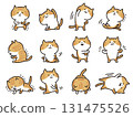 Set of cats stretching and doing muscle training 131475526